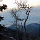 Image for article titled New NASA Tool Helps You Imagine a Day on Pluto